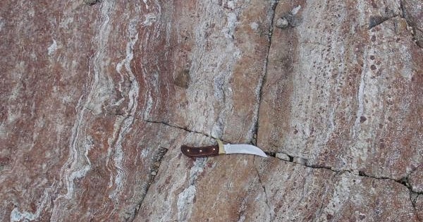 Are There Human Fossils in the Wrong Place for Evolution